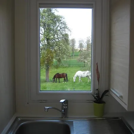 Tiny House Natur-Traum Zur Burg Eltz Wierschem Extérieur photo