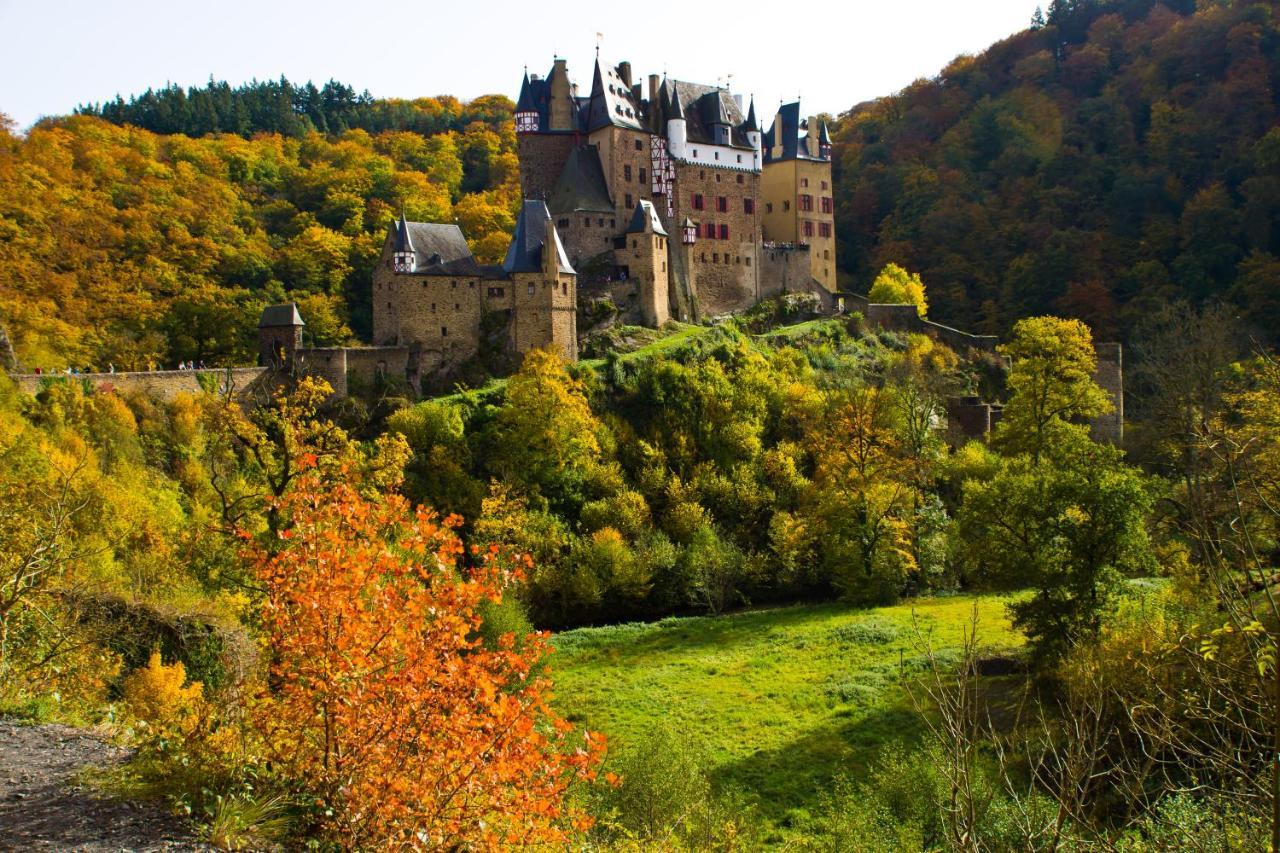 Tiny House Natur-traum Zur Burg Eltz Chalet *