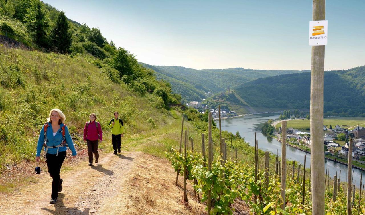 Chalet Tiny House Natur-traum Zur Burg Eltz *